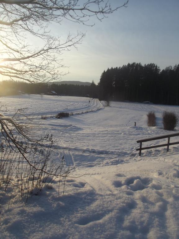 Вілла Stuga Hult Гагфорс Номер фото